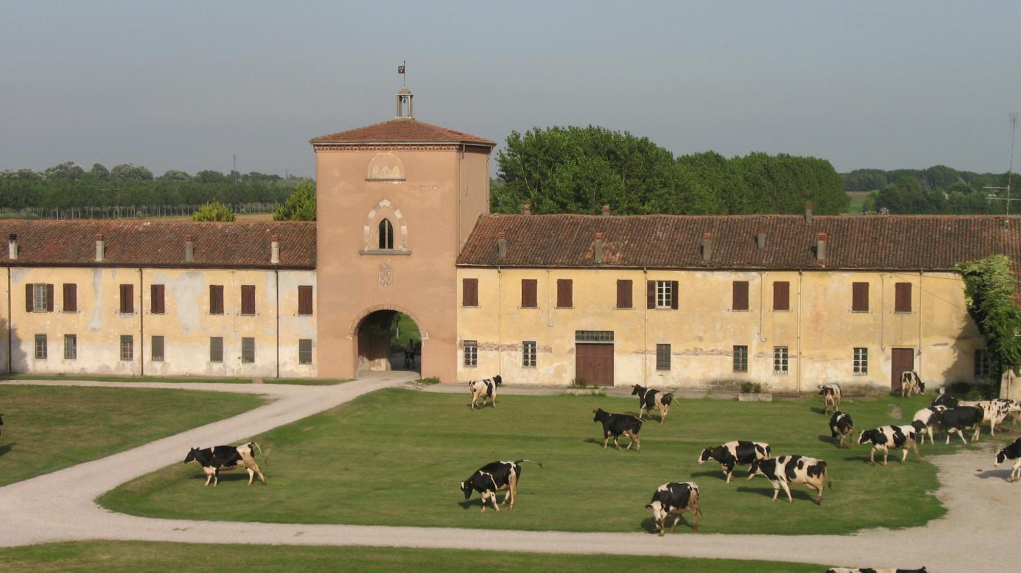 Agriturismo Corte Virgiliana Virgilio Zewnętrze zdjęcie