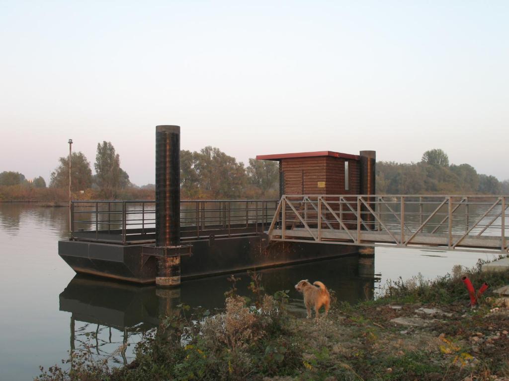 Agriturismo Corte Virgiliana Virgilio Pokój zdjęcie